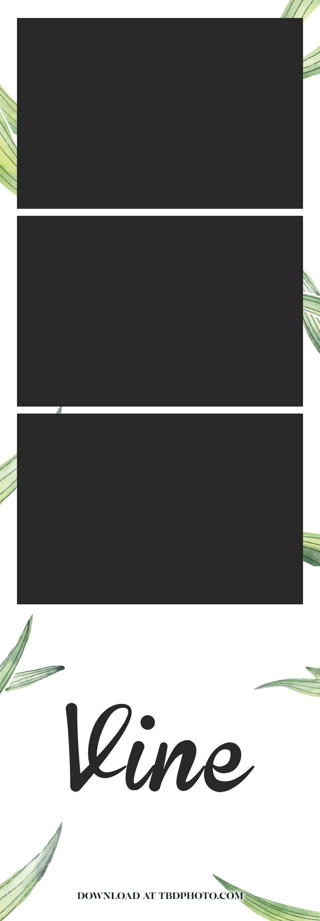 Vine photo strip template